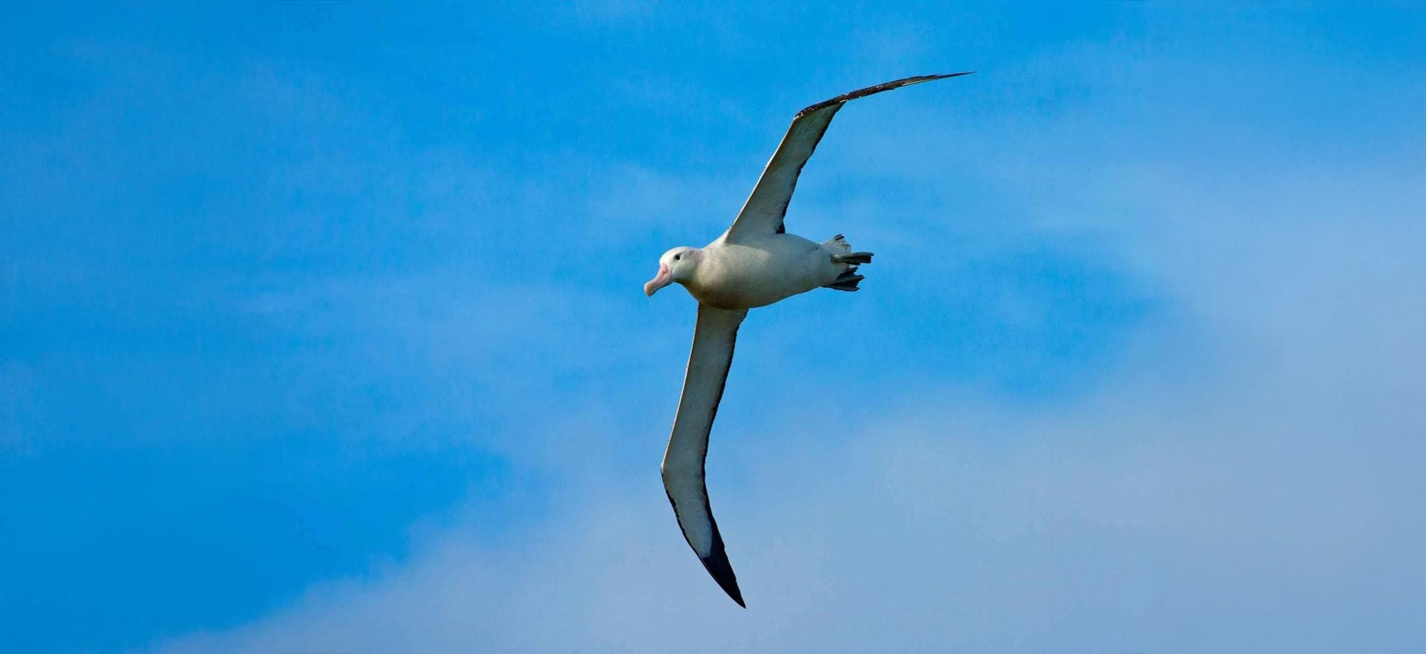 How to fix broken links