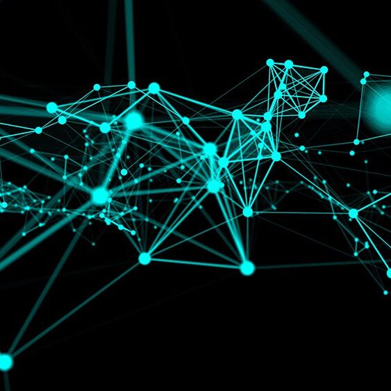 Delicate Network